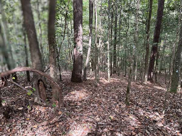 94 Acres of Land for Sale in Rose Hill, Alabama