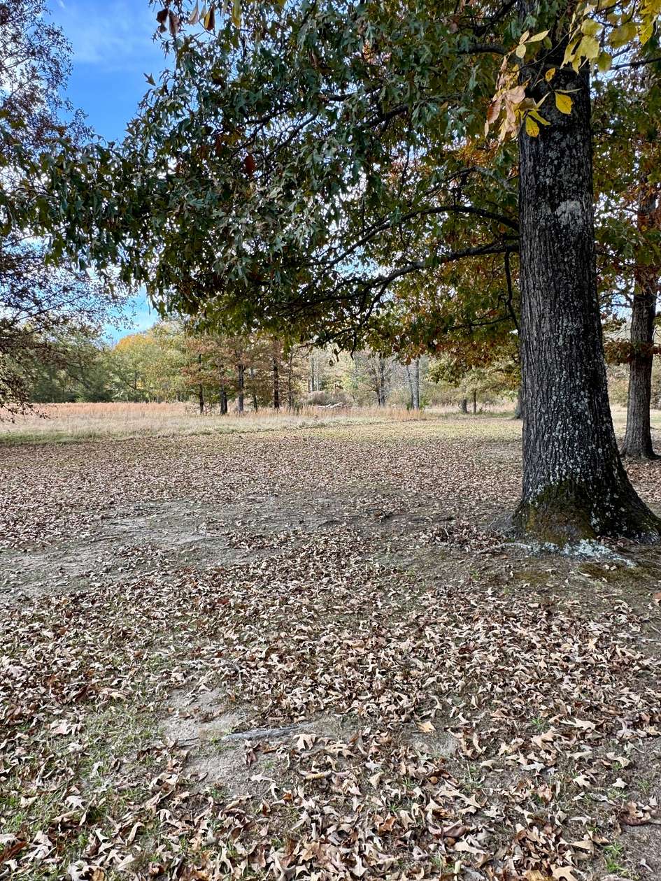 41 Acres of Recreational & Residential Land for Sale in Haworth, Oklahoma
