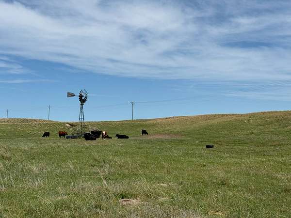 188 Acres of Land for Sale in Crookston, Nebraska
