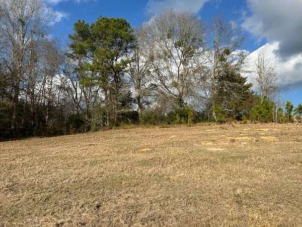 2.3 Acres of Residential Land for Sale in Glenwood, Alabama