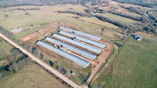 31 Acres of Land for Sale in Pocahontas, Arkansas