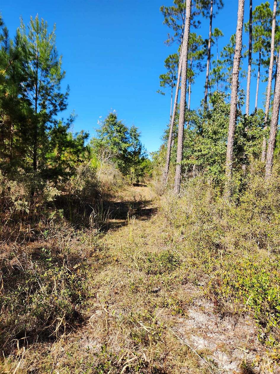 7.5 Acres of Residential Land for Sale in Bristol, Florida