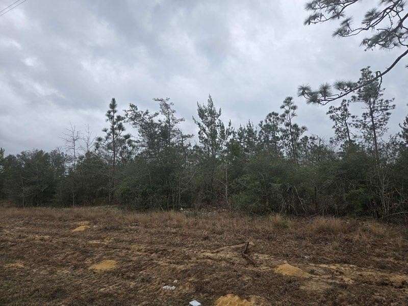 19.2 Acres of Recreational & Residential Land for Sale in Altha, Florida