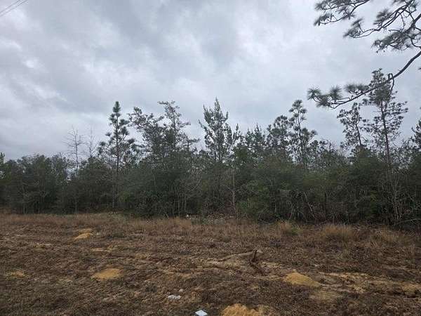 19.2 Acres of Recreational & Residential Land for Sale in Altha, Florida