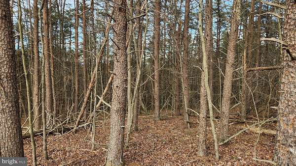 27.2 Acres of Recreational & Residential Land for Sale in Little Orleans, Maryland