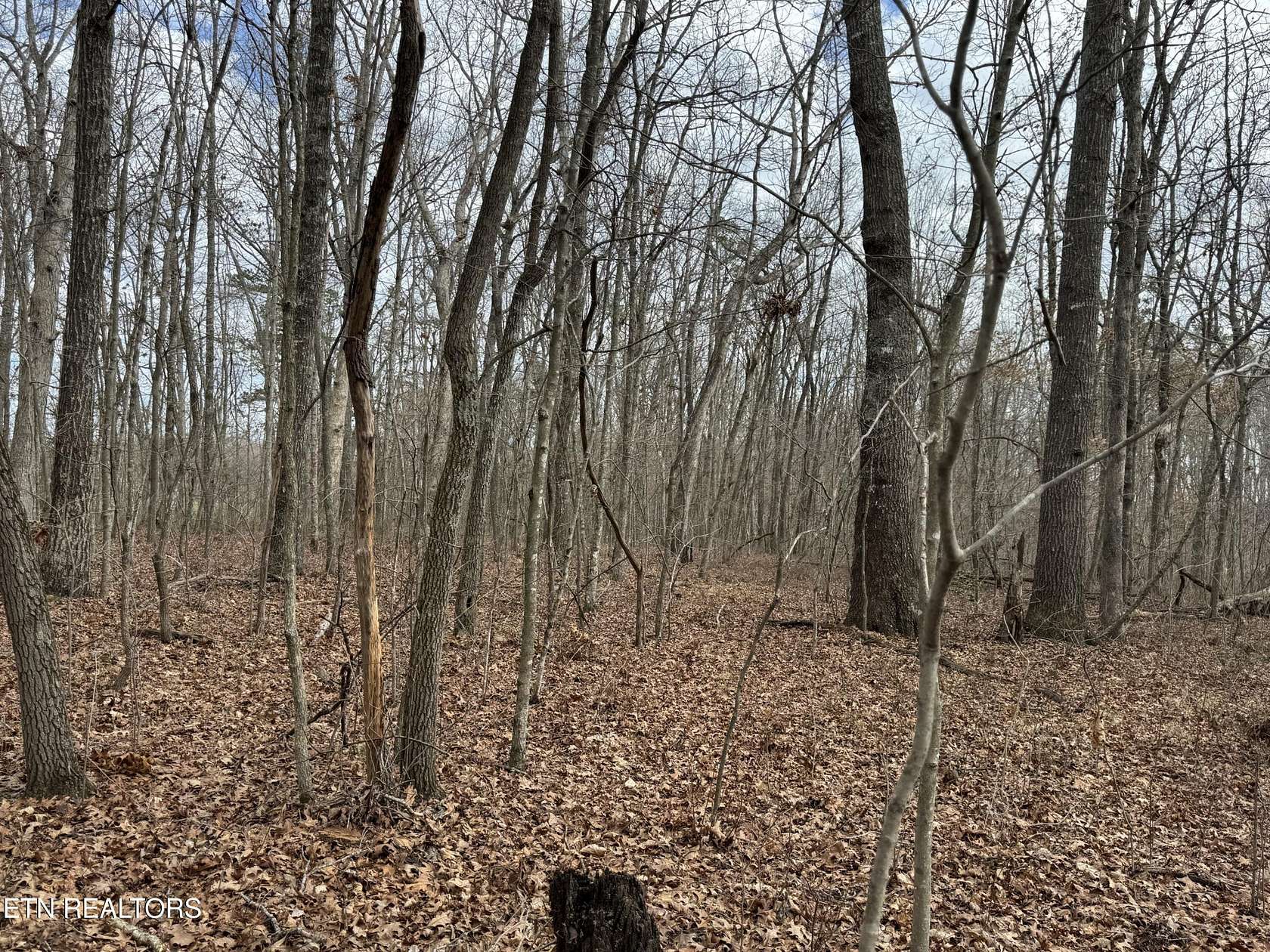 40 Acres of Land for Sale in Jamestown, Tennessee