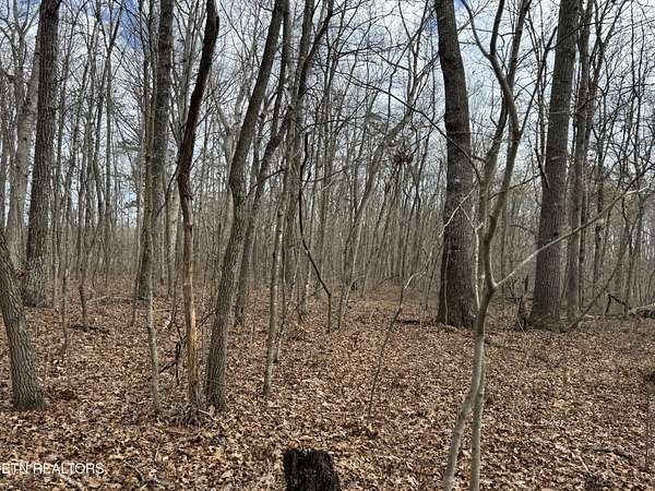 40 Acres of Land for Sale in Jamestown, Tennessee