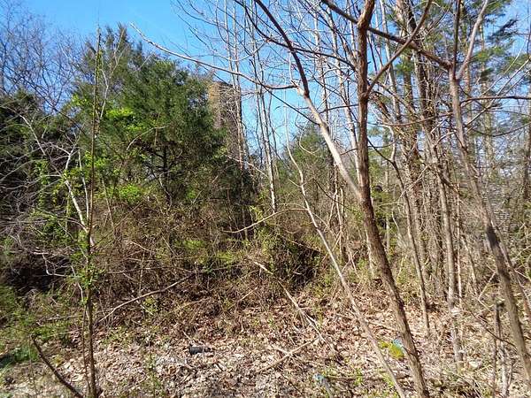 10 Acres of Land for Sale in Russellville, Tennessee