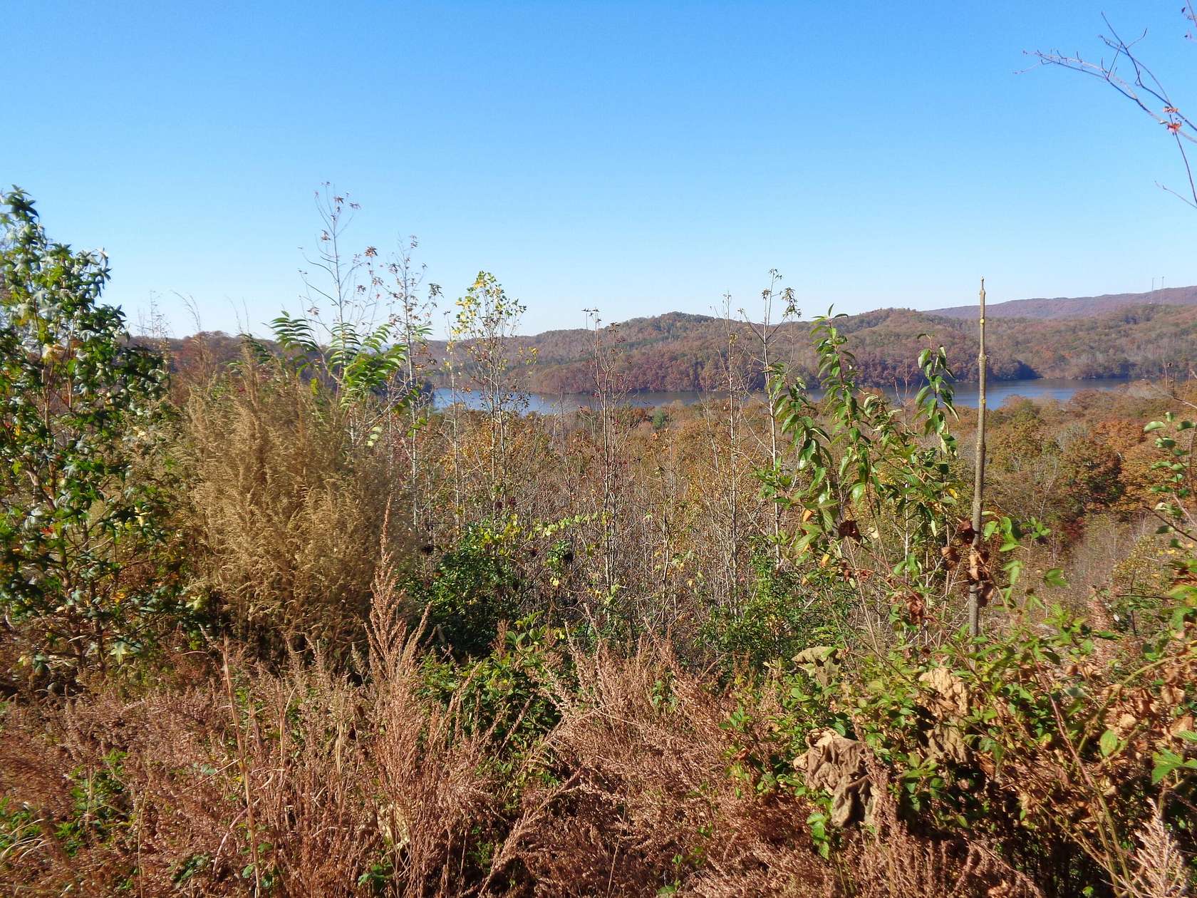 5.82 Acres of Residential Land for Sale in Rockwood, Tennessee