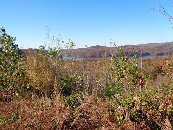 5.82 Acres of Residential Land for Sale in Rockwood, Tennessee