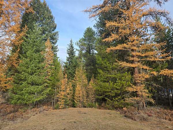 6 Acres of Land for Sale in Trout Creek, Montana