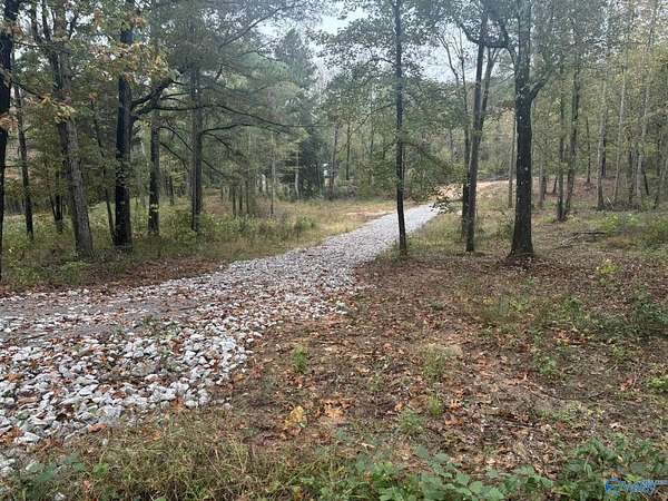 2.48 Acres of Residential Land for Sale in Trinity, Alabama