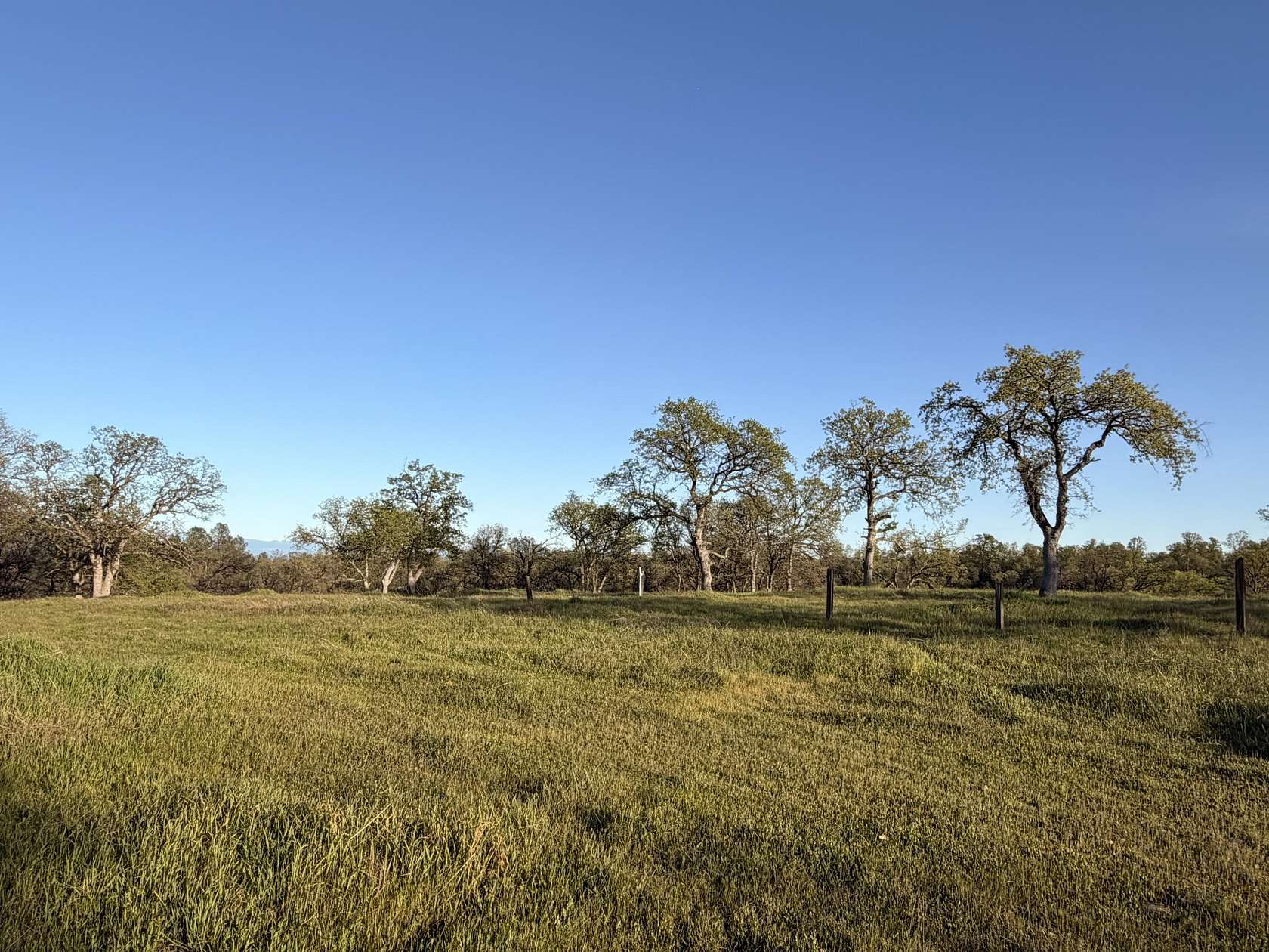 13 Acres of Land for Sale in Anderson, California