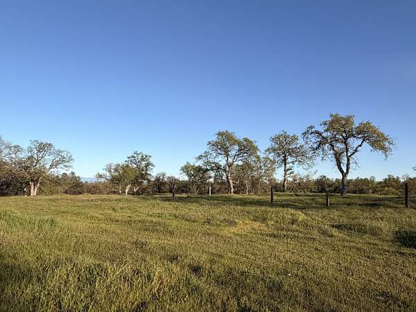 13 Acres of Land for Sale in Anderson, California