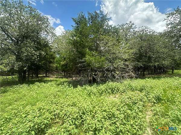 5.5 Acres of Land for Sale in Flatonia, Texas