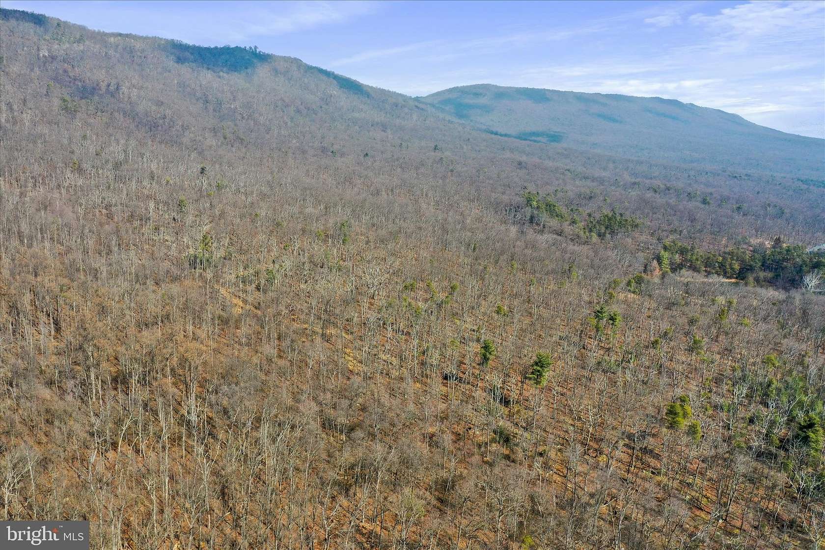 15 Acres of Recreational & Residential Land for Sale in Woodstock, Virginia