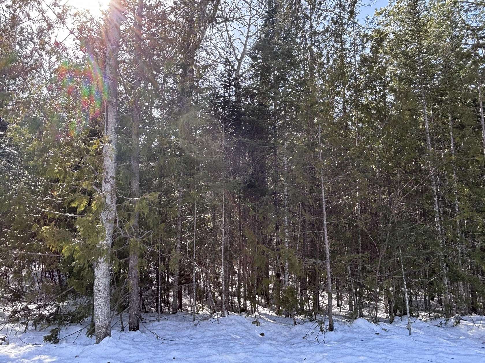 Residential Land for Sale in Presque Isle, Michigan