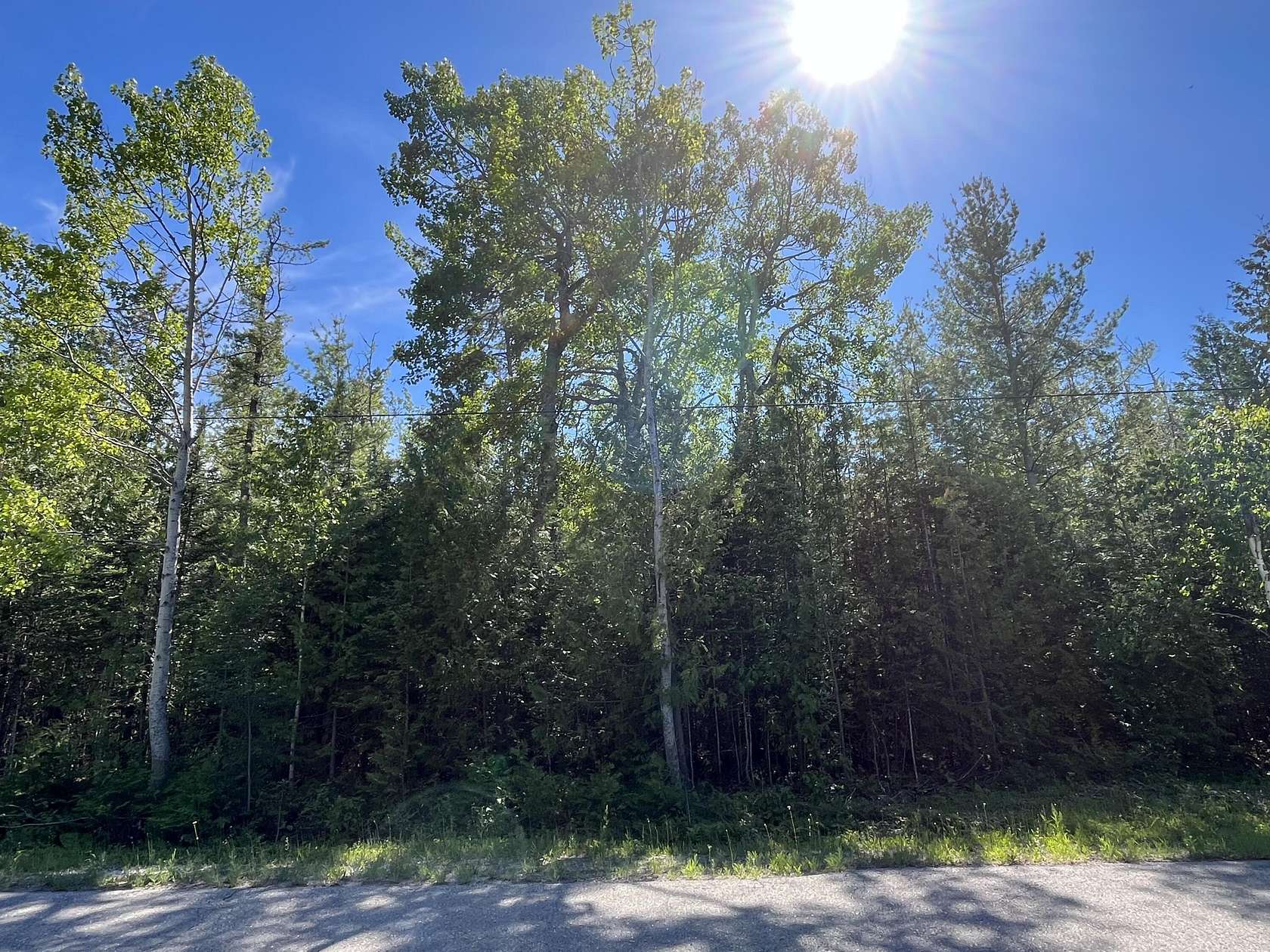 Residential Land for Sale in Presque Isle, Michigan