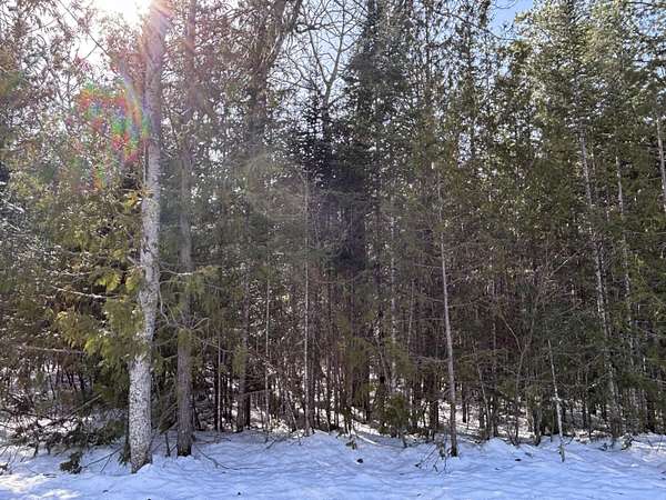 Residential Land for Sale in Presque Isle, Michigan