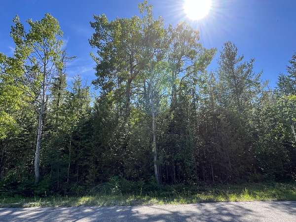 Residential Land for Sale in Presque Isle, Michigan