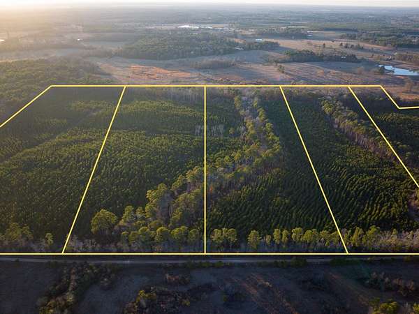 23.6 Acres of Recreational & Residential Land for Sale in Annona, Texas