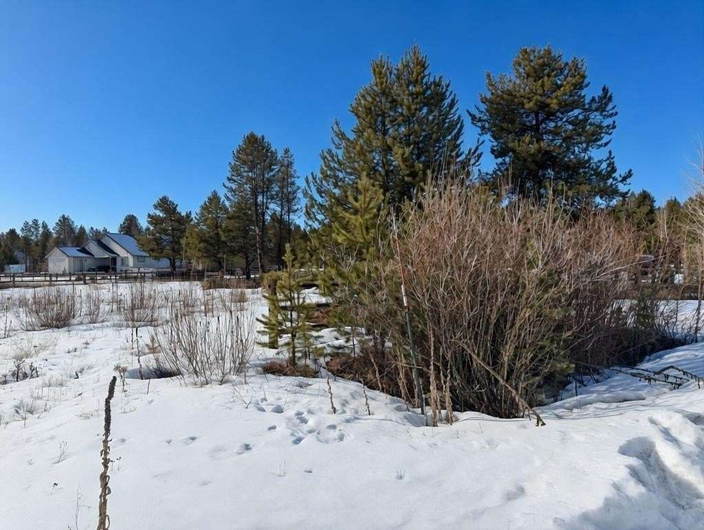 0.34 Acres of Residential Land for Sale in Donnelly, Idaho