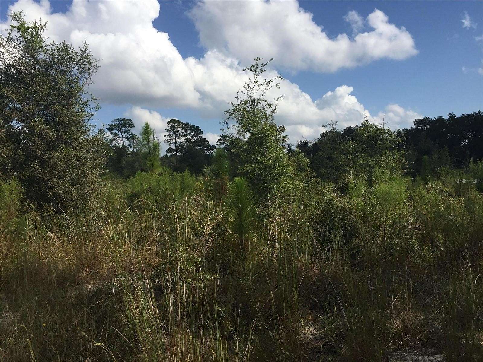 9.33 Acres of Residential Land for Sale in Archer, Florida