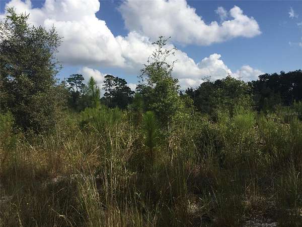 9.33 Acres of Residential Land for Sale in Archer, Florida