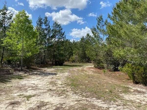 9.33 Acres of Residential Land for Sale in Archer, Florida