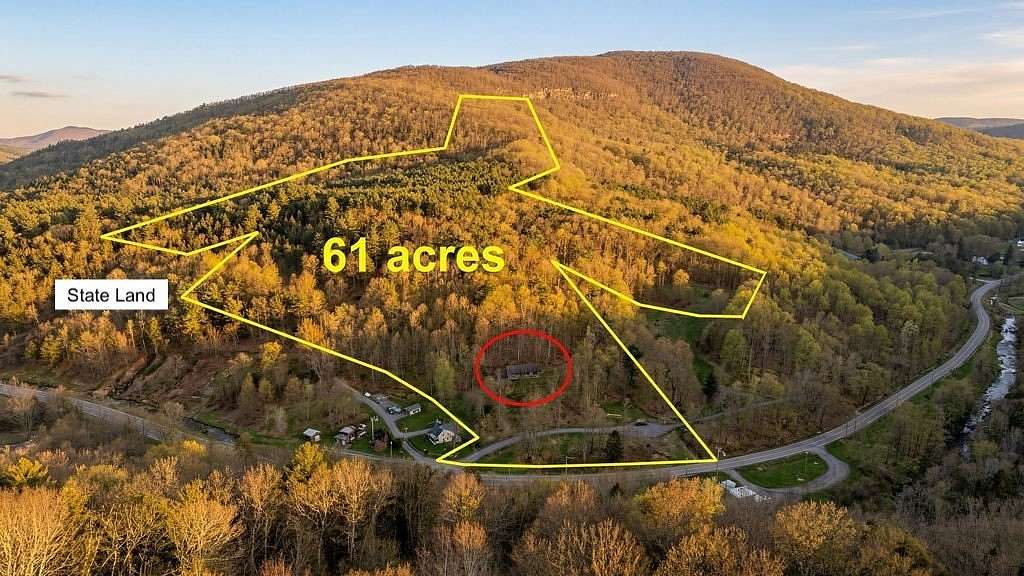 61.7 Acres of Recreational & Residential Land for Sale in Lexington, New York