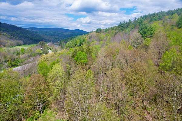 61.7 Acres of Recreational & Residential Land for Sale in Lexington, New York