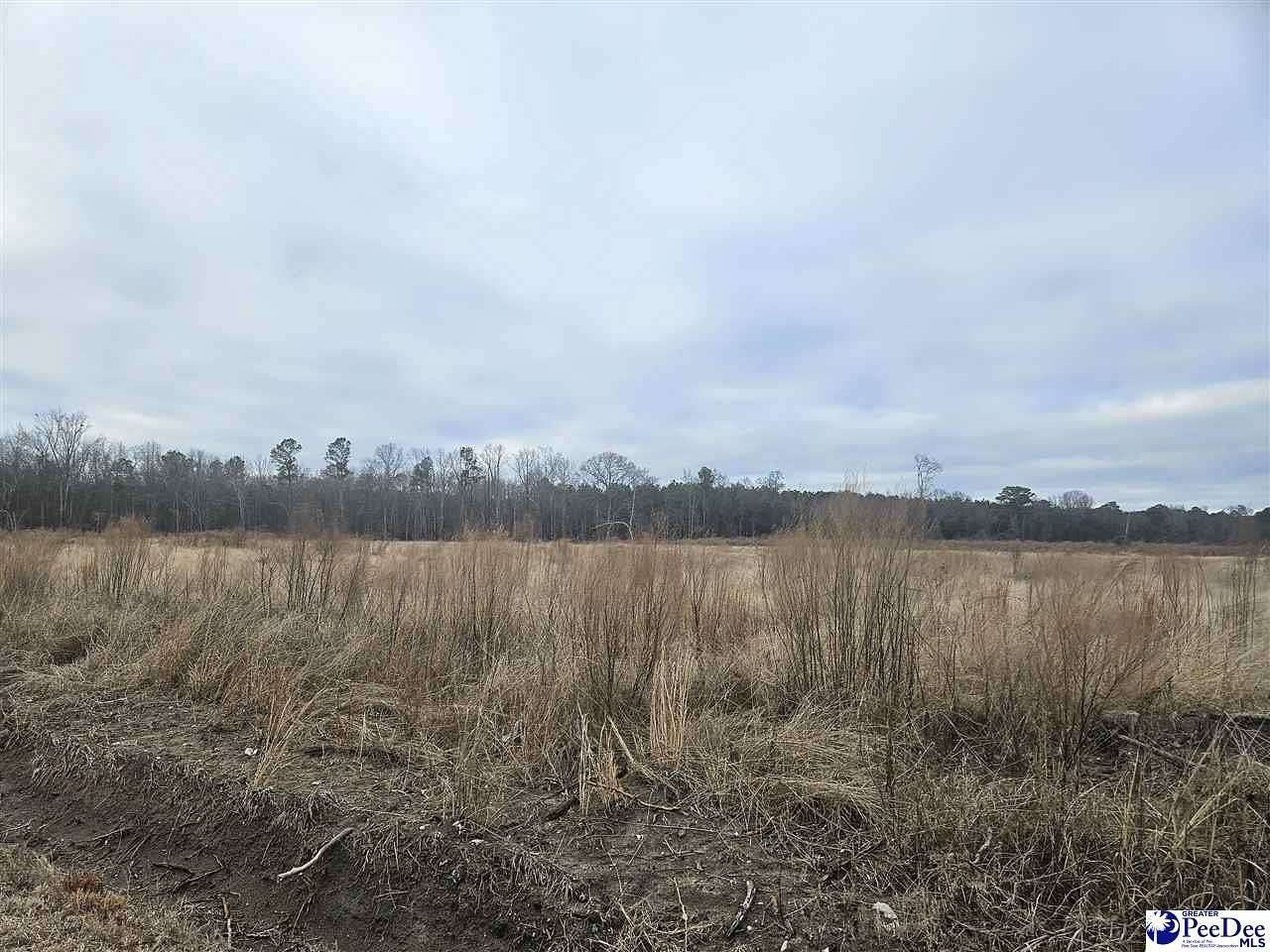 44 Acres of Land for Sale in Latta, South Carolina