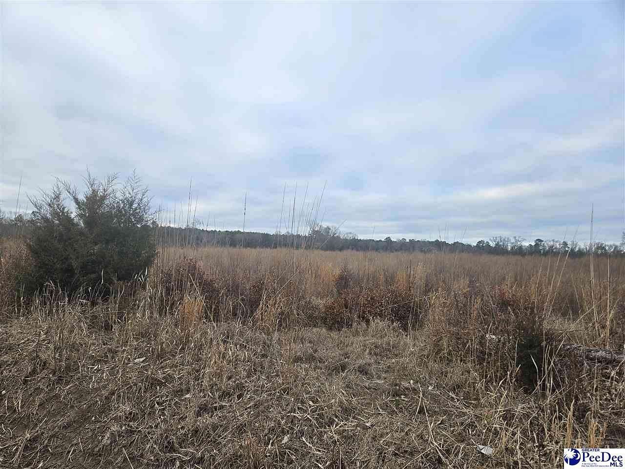 44 Acres of Land for Sale in Latta, South Carolina