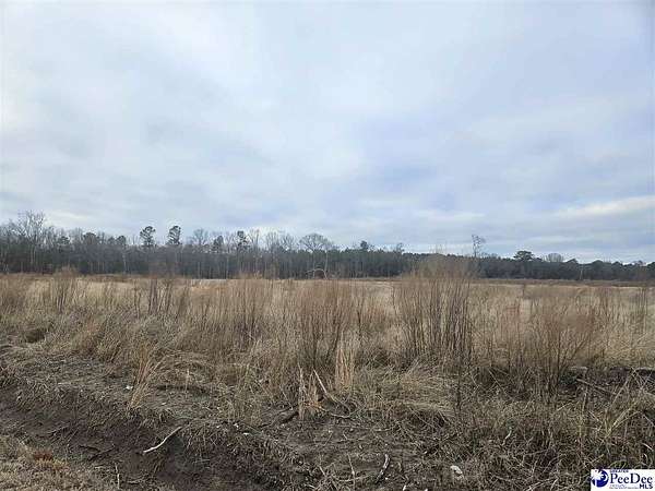 44 Acres of Land for Sale in Latta, South Carolina