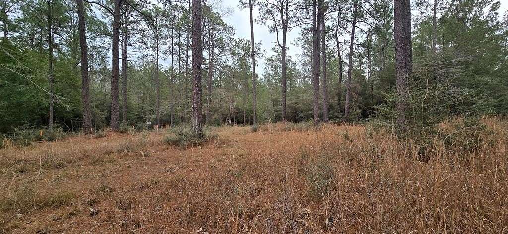 0.47 Acres of Land for Sale in Brookeland, Texas