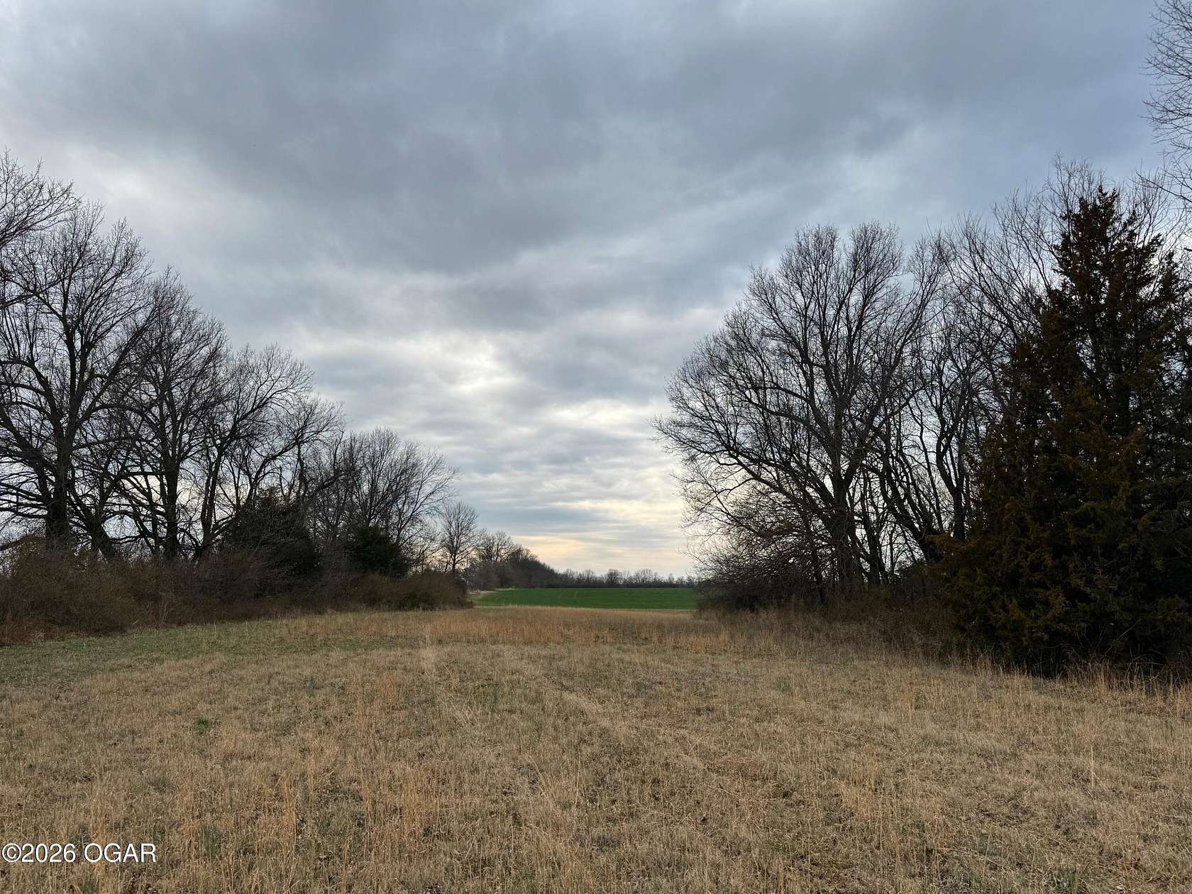 20 Acres of Agricultural Land for Sale in Asbury, Missouri