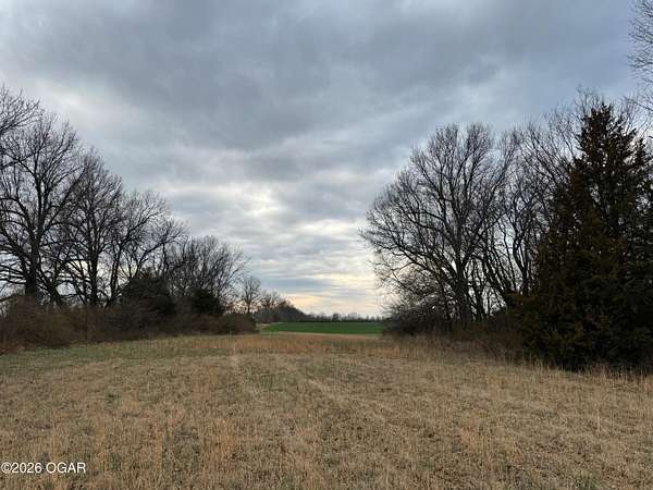 20 Acres of Agricultural Land for Sale in Asbury, Missouri