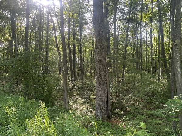 0.82 Acres of Residential Land for Sale in Harrisville, Michigan
