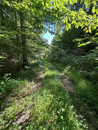 26.2 Acres of Recreational & Residential Land for Sale in Liberty, Kentucky