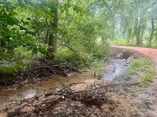 48 Acres of Recreational & Residential Land for Sale in Savannah, Tennessee