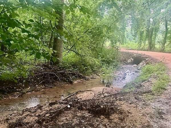 48 Acres of Recreational & Residential Land for Sale in Savannah, Tennessee