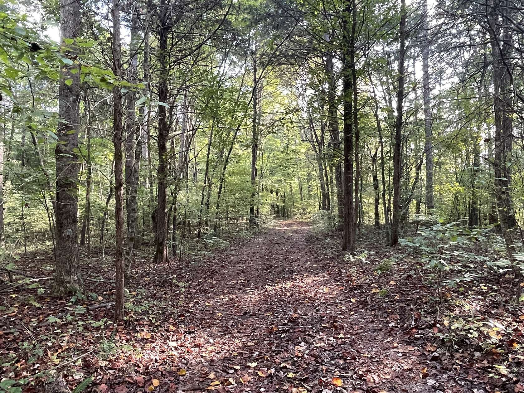 12 Acres of Recreational & Residential Land for Sale in Centerville, Tennessee