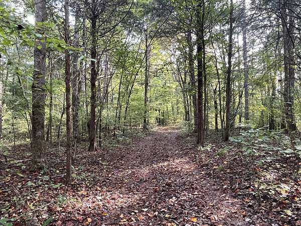 12 Acres of Recreational & Residential Land for Sale in Centerville, Tennessee