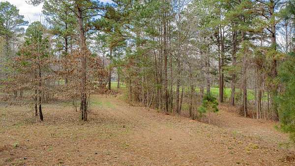 47 Acres of Recreational & Residential Land for Sale in Henderson, Texas