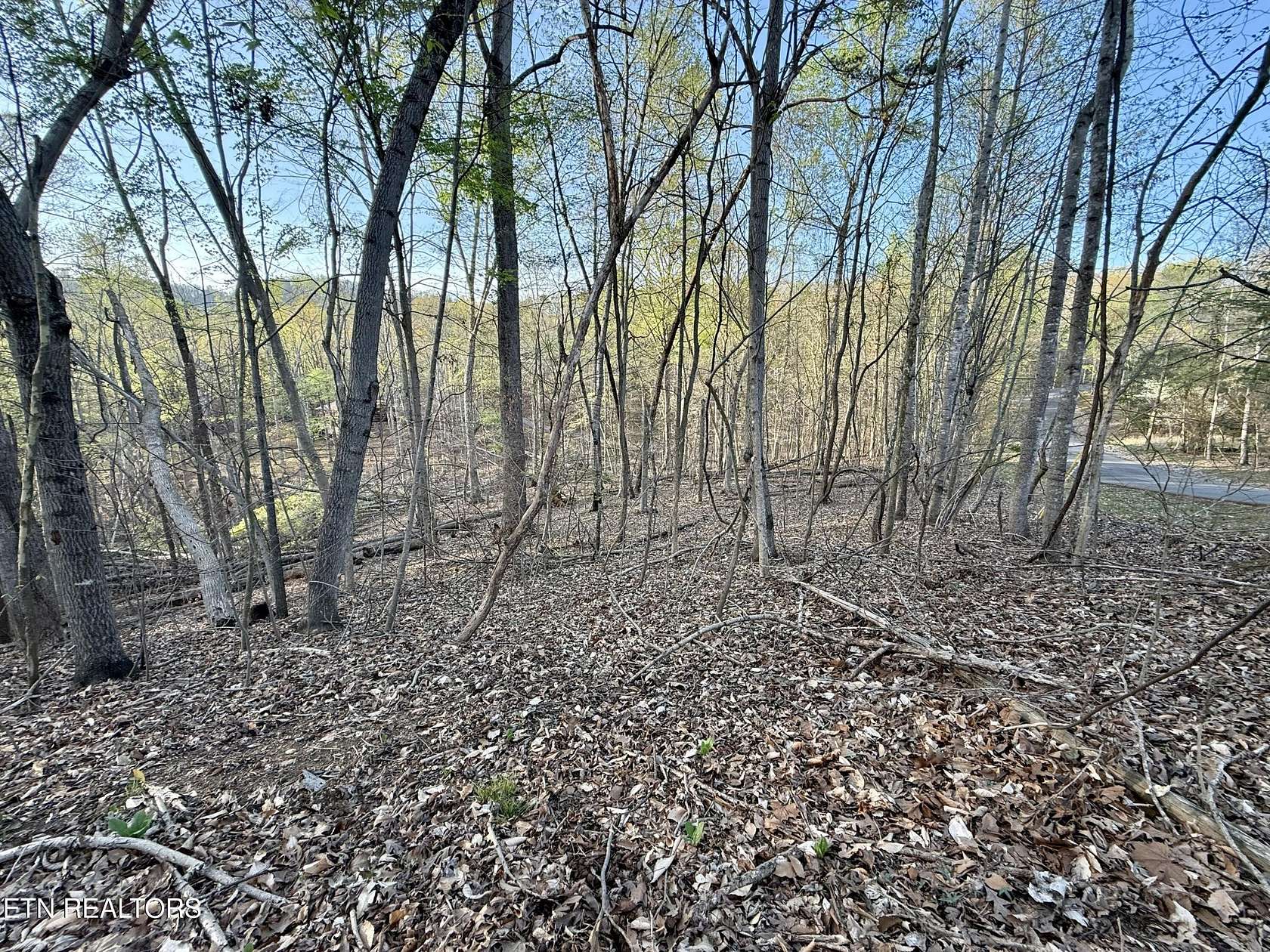 1.6 Acres of Residential Land for Sale in Mooresburg, Tennessee