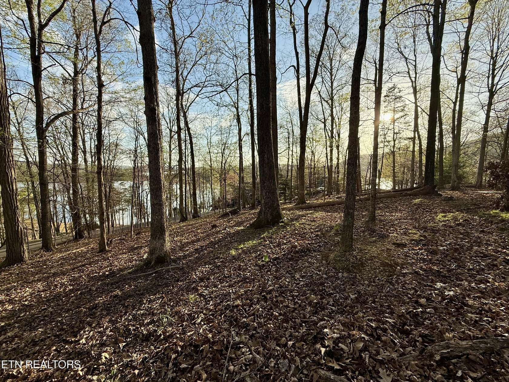 2.5 Acres of Residential Land for Sale in Mooresburg, Tennessee