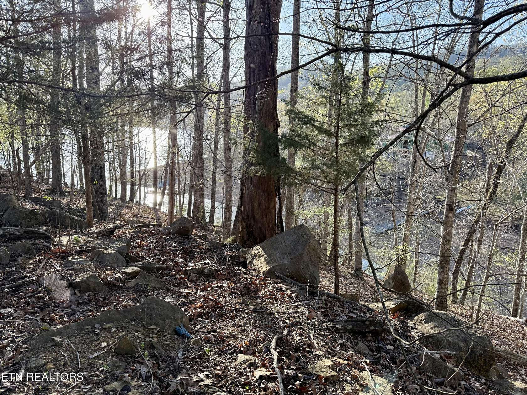 1.56 Acres of Residential Land for Sale in Mooresburg, Tennessee