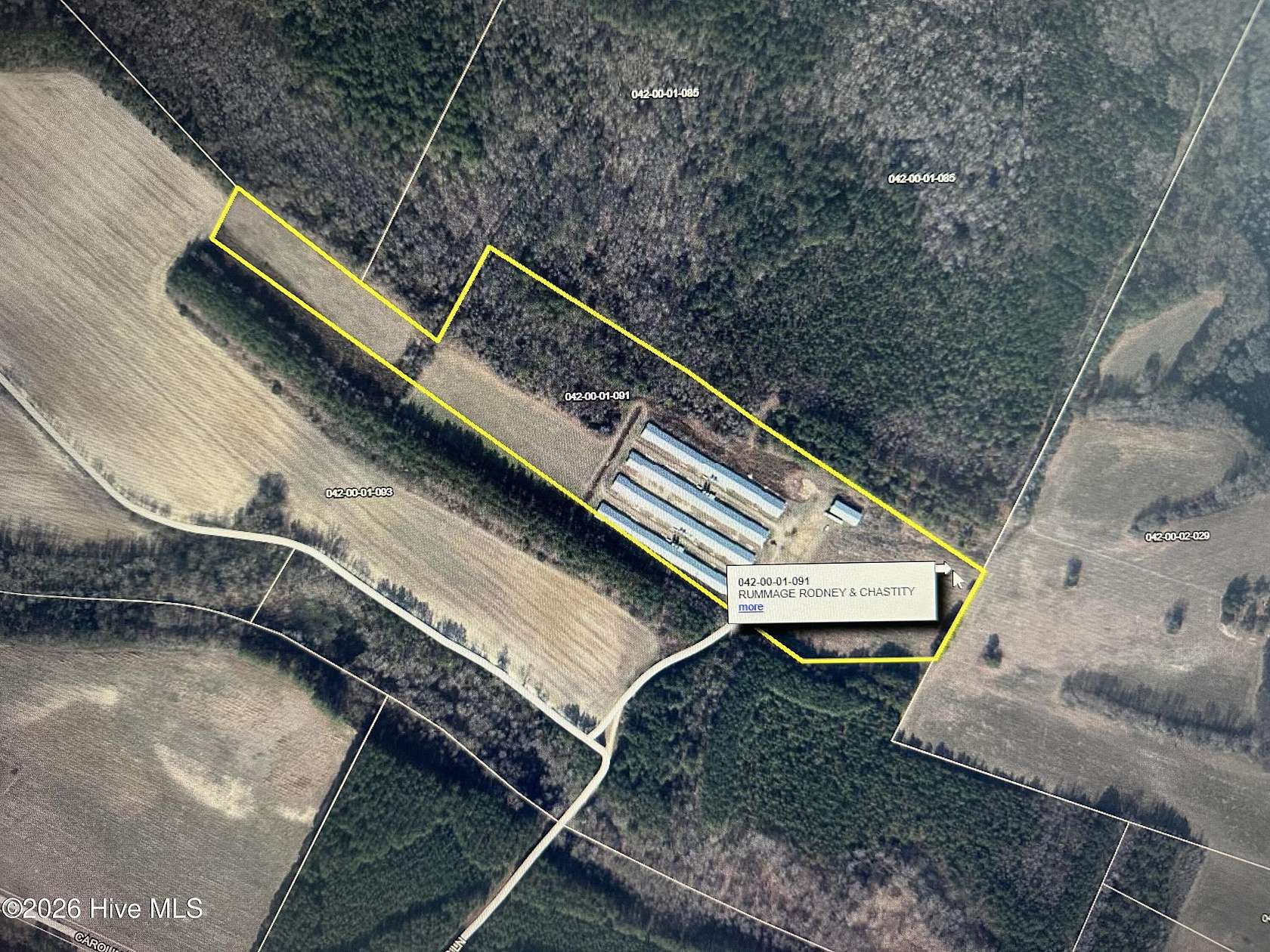 24.1 Acres of Agricultural & Residential Land for Sale in Clio, South Carolina