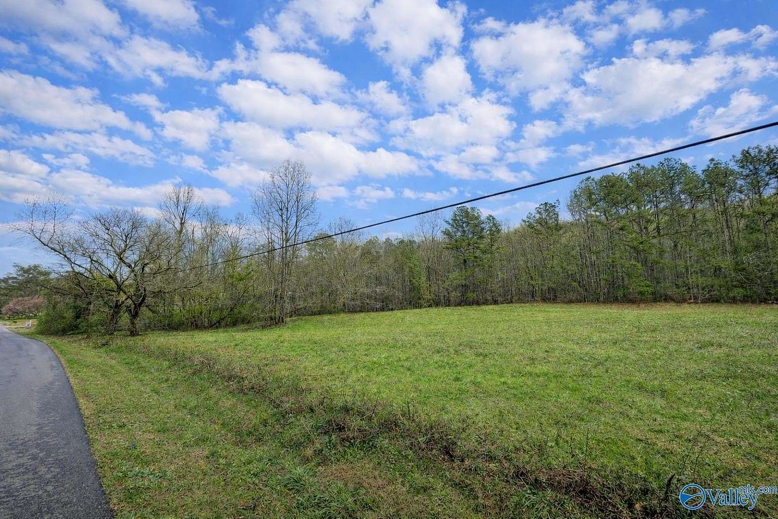 39 Acres of Land for Sale in Southside, Alabama