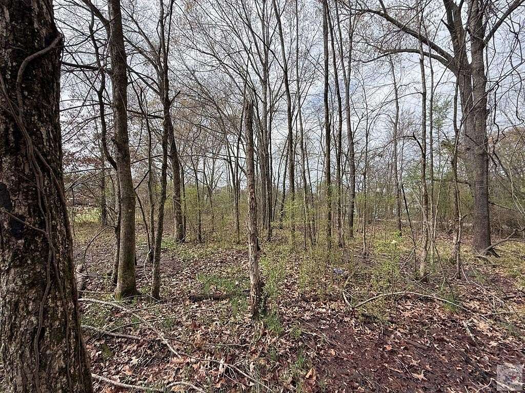 0.52 Acres of Land for Sale in Prescott, Arkansas